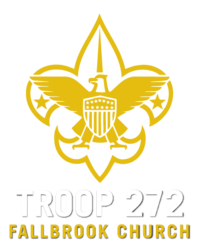 Logo of Troop 272 Communication Hub